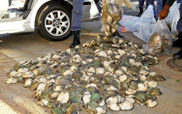 Gansbaai Gevang met R1m se Perlemoen 1_1